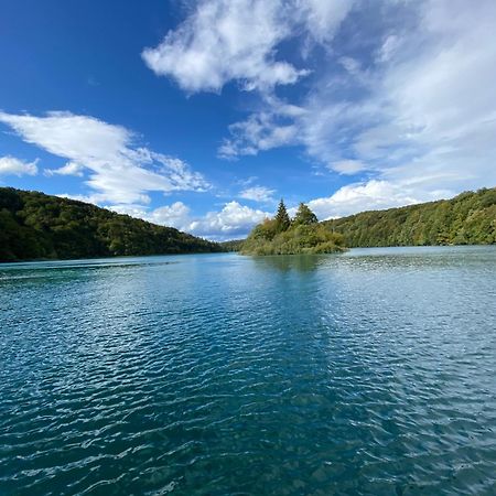 B&B Plitvice Area Natura Selište Drežničko Buitenkant foto